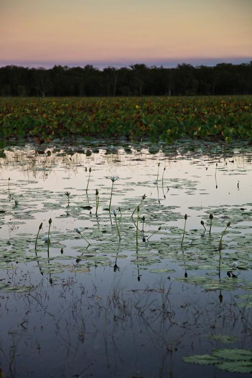 Готель Aurora Kakadu Екстер'єр фото