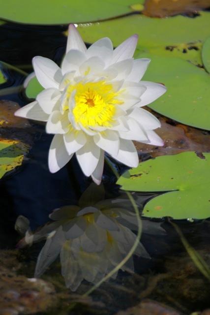 Готель Aurora Kakadu Екстер'єр фото